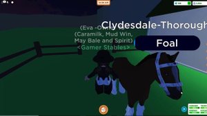 ROBLOX HORSE VALLEY BREEDING...MEET MY NEW FOAL!!