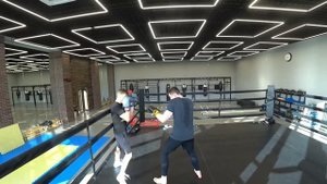 Работа в паре(бокс)