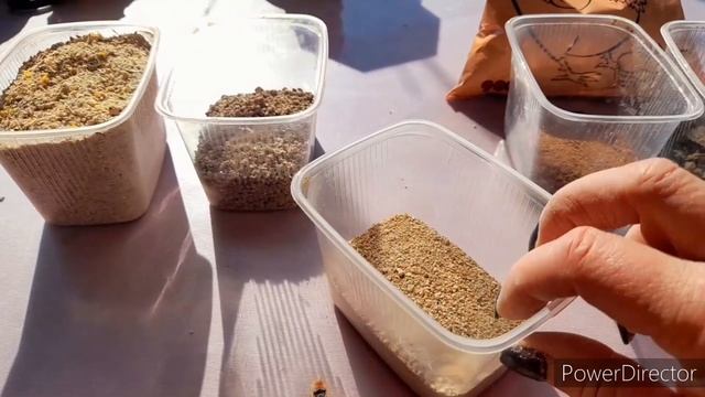 ✔Чтобы куры хорошо неслись круглый год!//Чем я кормлю кур для отличной яйценоскости?/Добавки для ку