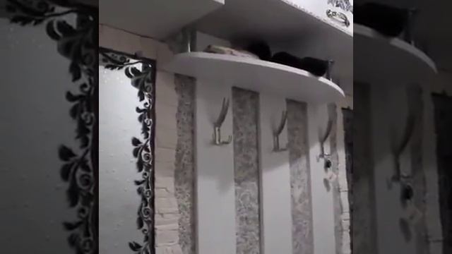 Жидкие обои в интерьере смотреть онлайн