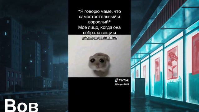 ГРУСТНЫЙ ХОМЯК  — ОТКУДА МЕМ?