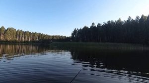 .Рыбалка в ЗАБРОДАХ.  Поппер Sert Killer Pop