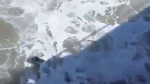 огромная волна смывает отдыхающих зевак в море