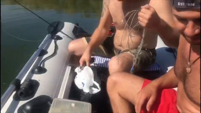 ЛОВЛЯ ЩУКИ В СЕНТЯБРЕ!!! ЖОР ЩУКИ!!! Приманка касадака спун 15 гр. Щука от 1 кг и выше!!! смотреть онлайн