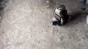 ⚙️САМОДЕЛЬНЫЙ МОПЕД С МОТОРОМ ОТ 2СД