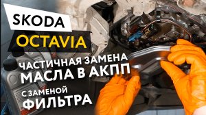 Частичная замена масла в АКПП с заменой фильтра АКПП Skoda Octavia 1,8 TSI