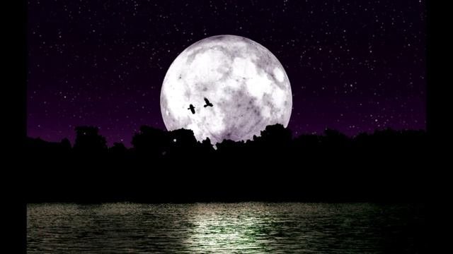 №1.Миниатюра-фантазия "Лунное одиночество" . Е.В.Чикилёв. op.№1, "Лунный альбом".