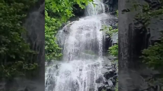 впечатляющий водопад "Тюльпан" в горах Абхазии