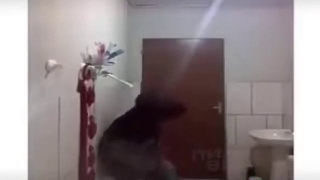 Как ловить крысу смотреть онлайн