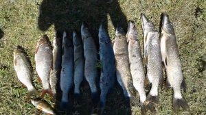 Рыбалка в Самарке