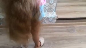 Знакомство┃Видеоурок покраски длинных волос мелками┃Соня Сонечко