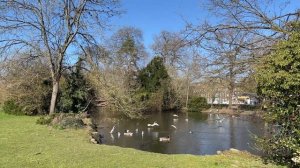 Follow me around Aldershot with TripAdvisor | Hampshire | Staycation | England UK GB | March 2021