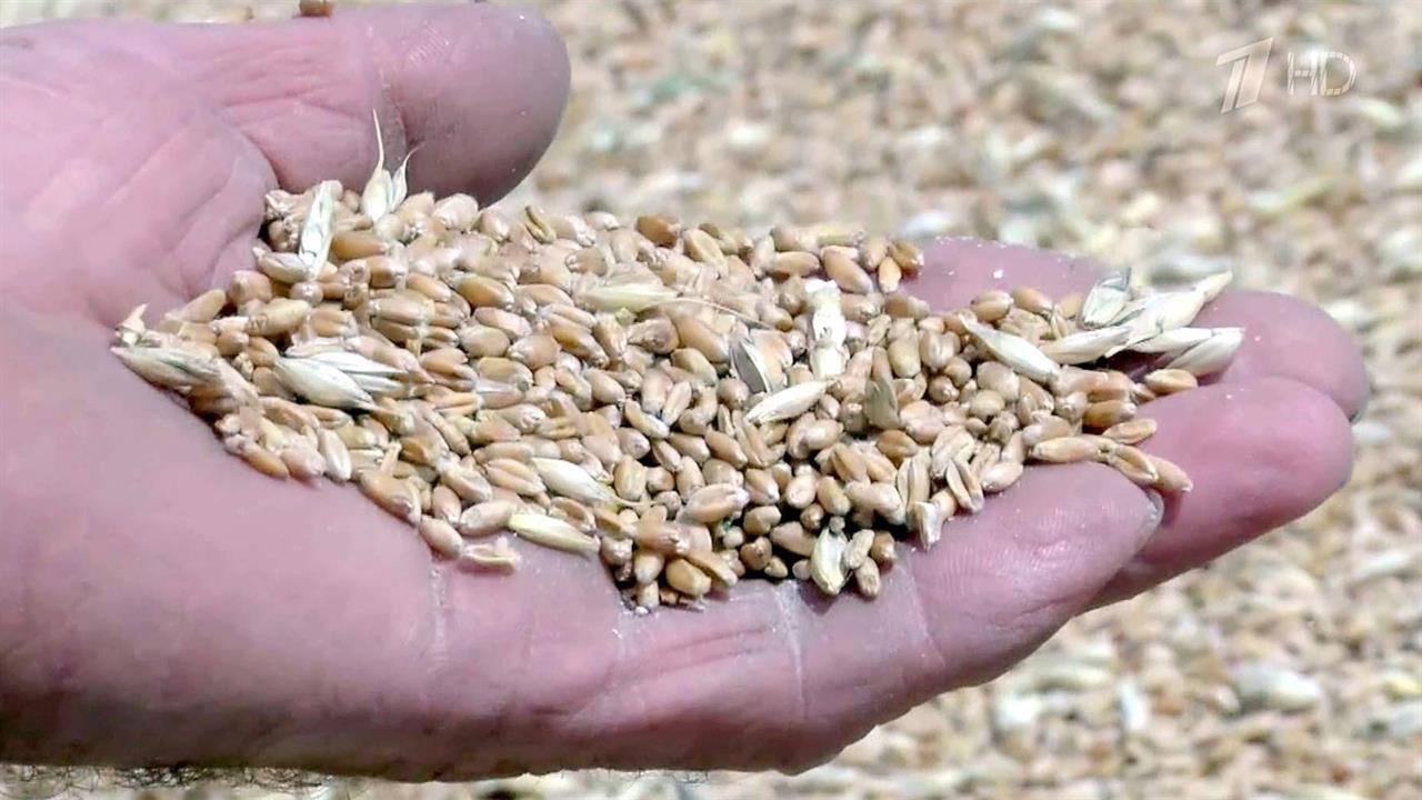 Забайкальский зерновой терминал сможет перегружать восемь миллионов тонн зерна в год