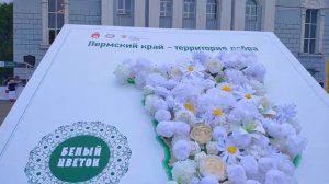 Ролик Благотворительная акция Белый Цветок|г.Пермь|ПДНТ "ГУБЕРНИЯ".