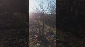 суровая зима в хадыженске