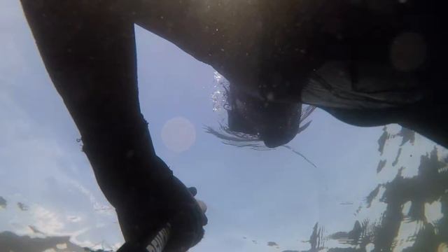 Пиренга 29.05.16 смотреть онлайн