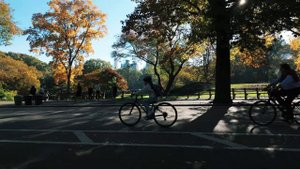 DJI OSMO Pocket 3 10Bit 4K Cinematic - Central Park