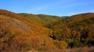 Осень в Новороссийске 2017  4К