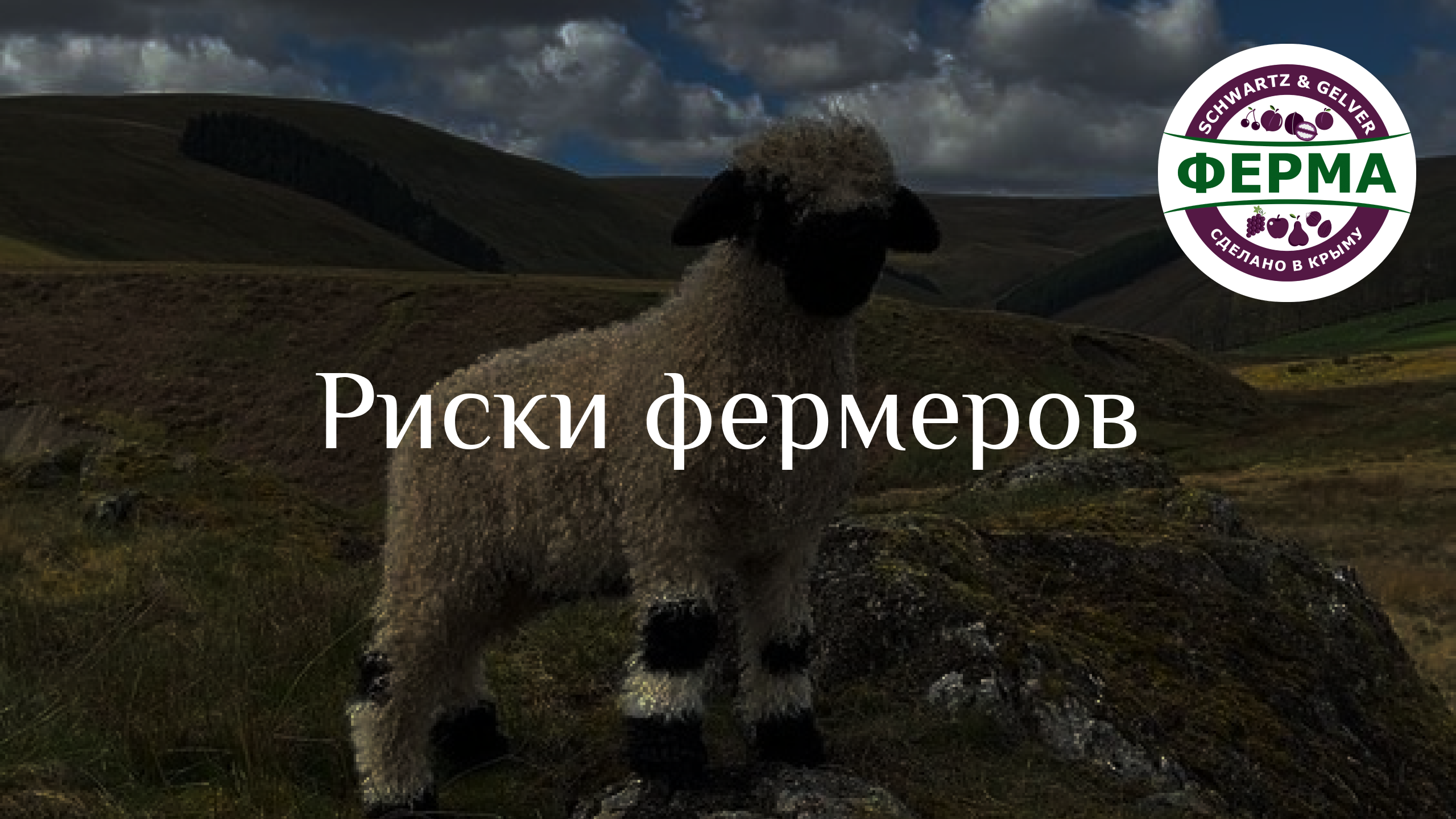 КАКИЕ РИСКИ есть у начинающего ФЕРМЕРА?