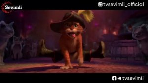 Etik kiygan mushuk 2011