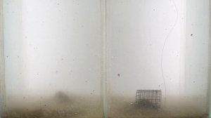 Dunaev Премиум Лещ + Плотва