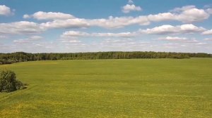 Богданово 01.06.2021г.