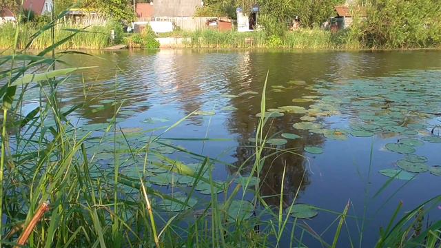 Рыбалка на поплавок вечером, красивые места смотреть онлайн