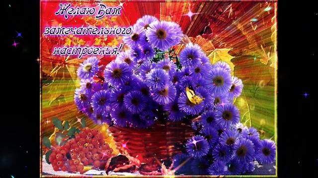 Романтичного вечера Ольга Соколова Выбираю Путь Любви смотреть онлайн