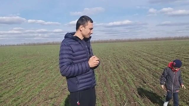 селитра сравниваем рум и сеялка смотреть онлайн