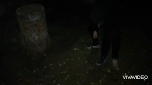 Поговорим немного о системе СКАНФ.Бак хочет поделится с вами знаниями о данной системе.