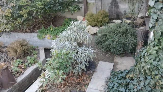 03.12. 21. Новая опора, стиль кантри, посадка тюльпанов и как сделать сад цельным. смотреть онлайн