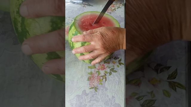 Говорят в Сибири не растут Арбузы