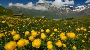 ?ТРОПИНКА К ЖЕЛАННЫМ ВЫСОТАМ? Христианские рассказы. Истории из жизни. Для широкого круга.