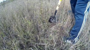 Поиск с Х-терра 705