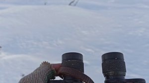 Бинокль Б 8*30 и БП 20*60 с собой на гору