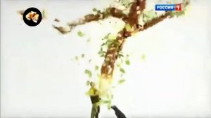 История заставок "Диалоги о животных/Живые истории"