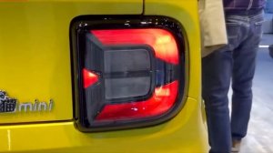 Geely Panda Mini  and Geely Panda Mini W T  Duck