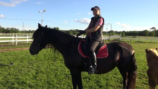 Как повернуть лошадь? "Принцип коридора". смотреть онлайн