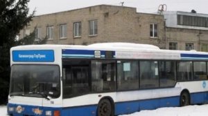 списанные автобусы г. Калининград