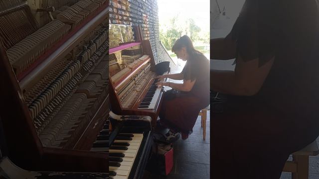 Играет известная Алла Рыбак Пезажнная-Алея продюсер Александр Бернацкий место Киева смотреть онлайн