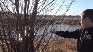 МАЧЕТЕ С ALIEXPRESS ОТ TRAMONTINA ПРОВЕРКА В ДЕЛЕ!