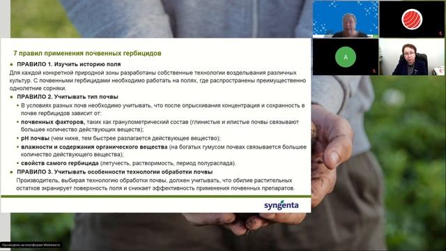 Картофель и гербициды. Что надо знать? Отвечаем на вопросы.