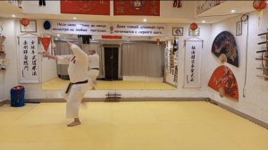 Каратэ. Ката хейан йон дан. Гриценко Алексей