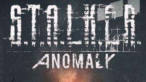 Stalker Anomaly №3 Путь на болота ,или боль в заду