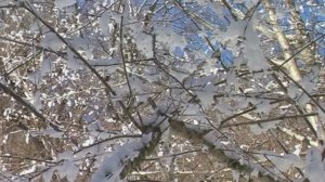 водопады Руфабго. Зима