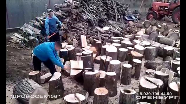 БАЗА ДРОВ ОРЕНБУРГ. ДРОВОСЕК156. РАЗНОЛЕСЬЕ. КОЛЬЩИКИ #дровакупить #оренбург #дровадоставка #drovos
