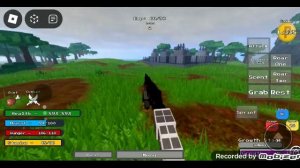 играю в роблекс