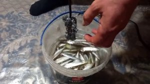 КАК легко и БЫСТРО почистить рыбу? Лайфхак для уклейки!