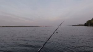 Спиннинг Crazy Fish Perfect Jig 7-28 - ОТЗЫВ и отчёт с рыбалки
