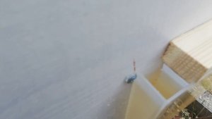 Наружная кормушка для пчёл.